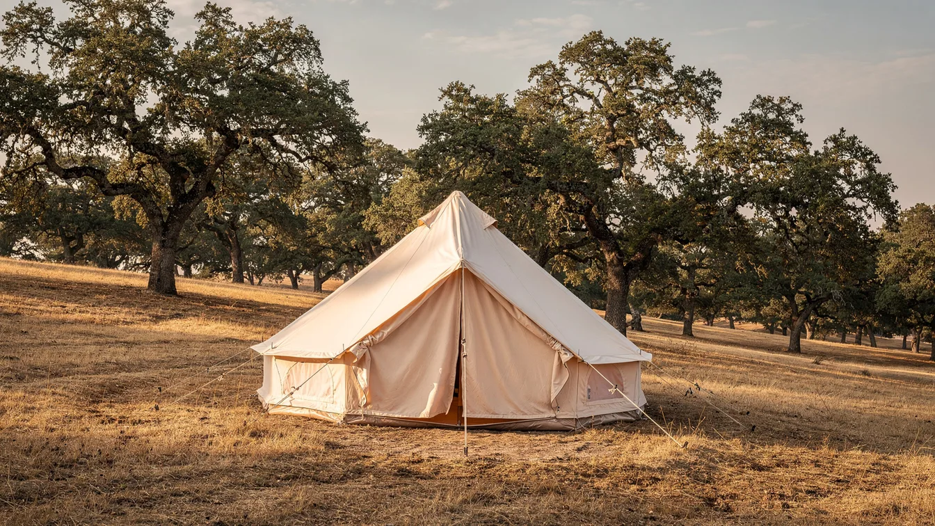 A cream canvas bell tent among oak trees on dry golden grass