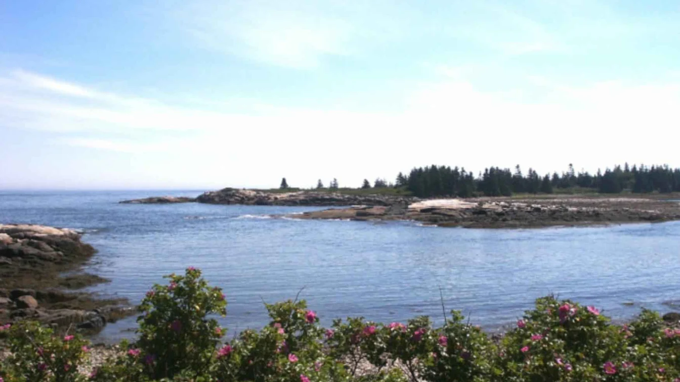 Rocky Maine coast in Acadia National Park
